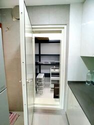 Pinnacle 16 (D12), Apartment #589825061